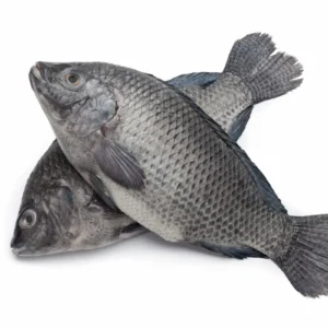 Fresh-Tilapia