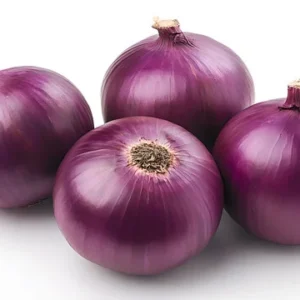 Onion